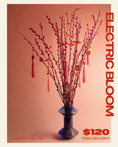Fuchsia Willow Electric Bloom